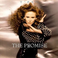 A Place In My Heart Chords by Tpau