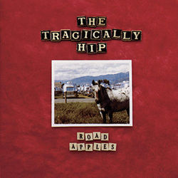 Fight Chords by The Tragically Hip