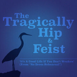 It's A Good Life If You Don't Weaken Bass Tab by The Tragically Hip