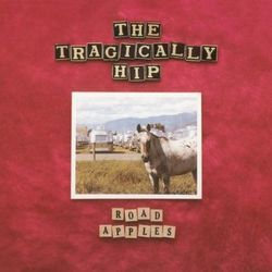 Little Bones by The Tragically Hip