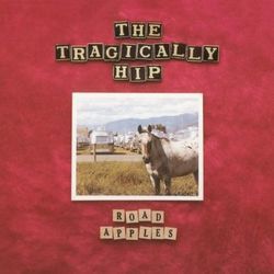 Little Bones Tab by The Tragically Hip