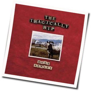 The Last Of The Unplucked Gems Chords by The Tragically Hip
