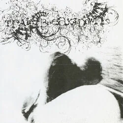 Permanent As Your Errors Intro Tab by Train Breaks Down