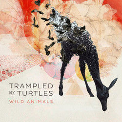 Hollow Chords by Trampled By Turtles