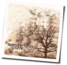 Think It Over Chords by Trampled By Turtles