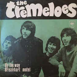 By The Way by The Tremeloes