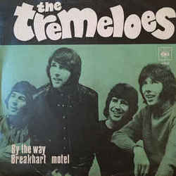 By The Way Chords by The Tremeloes