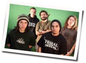 Come Around Bass Tab by Tribal Seeds