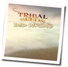 Did Wrong by Tribal Seeds
