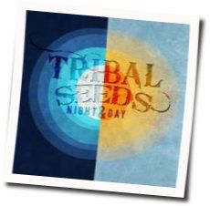 Night Day Tab by Tribal Seeds
