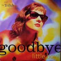 Goodbye Little Boy Chords by The Triffids