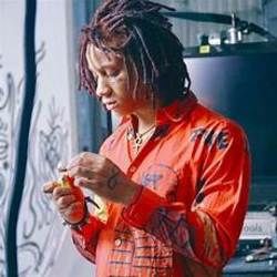 Toxic Waste Chords by Trippie Redd