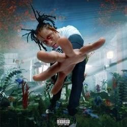 Who Needs Love Tabs by Trippie Redd