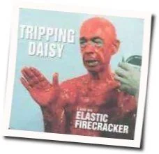 Trip Along Tab by Tripping Daisy