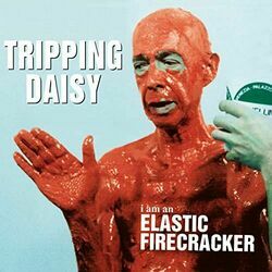 Piranha Chords by Tripping Daisy