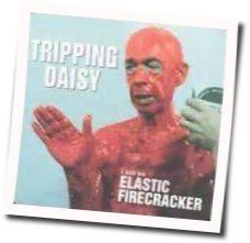 Trip Along Tab by Tripping Daisy