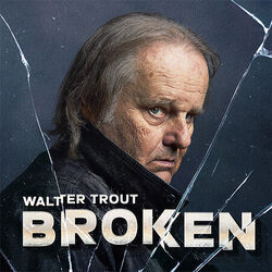 Broken Chords by Walter Trout