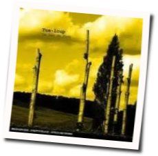 Le Cri De La Chouette Chords by Tue Loup
