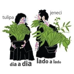 Dia A Dia Lado A Lado Chords by Tulipa Ruiz