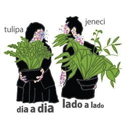 Dia A Dia Lado A Lado by Tulipa Ruiz