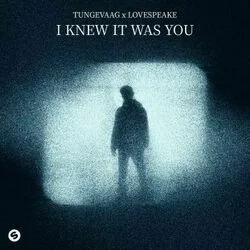 I Knew It Was You Chords by Martin Tungevaag