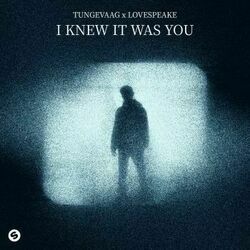 I Knew It Was You Chords by Martin Tungevaag