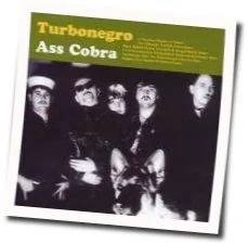 I Got Erection Bass Tab by Turboneger