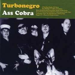 Just Flesh Chords by Turboneger