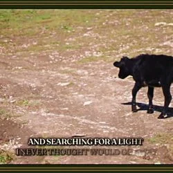 Searching For A Light Chords by Turnpike Troubadours