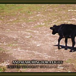 Searching For A Light Chords by Turnpike Troubadours