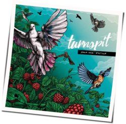 Breath Taking Chords by Turnspit