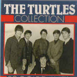 Is It Any Wonder Chords by The Turtles