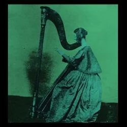 Shame Bass Tab by TV Girl