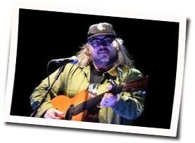 Some Birds Chords by Jeff Tweedy