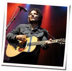 You Are Not Alone Chords by Jeff Tweedy