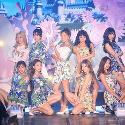 What Is Love Acoustic Live Chords by Twice (트와이스)