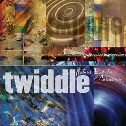 Jamflowman Chords by Twiddle