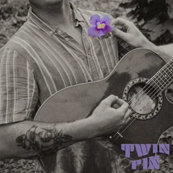 Purple Daisies Chords by Twin Fin