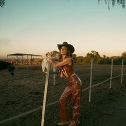 Don't Need A Cowboy Chords by Twinnie