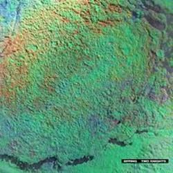 I Ate An Entire Pizza During One Episode Of The West Wing Chords by Two Knights