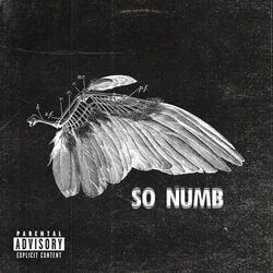 So Numb Ukulele Chords by TX2