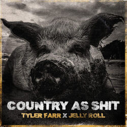 Country As Shit by Tyler Farr, Jelly Roll