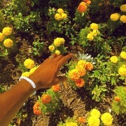 Peach Fuzz Bass Tab by Tyler, The Creator