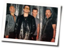 Do You Feel Loved Chords by U2