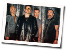 Do You Feel Loved Tabs by U2