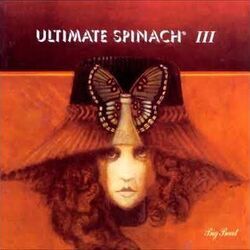 Somedays You Just Can't Win Chords by Ultimate Spinach