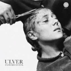 Machine Guns And Peacock Feathers Bass Tab by Ulver
