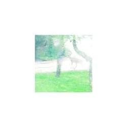 Breathe Freely Chords by Uncle Leo
