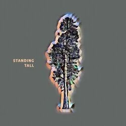 Standing Tall Chords by United Pursuit