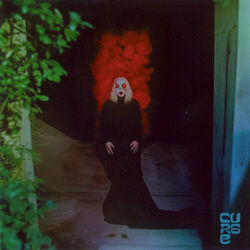 Boys With The Characteristics Of Wolves Tab by Unknown Mortal Orchestra